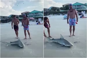 Un video que se hizo viral exhibe a dos hombres torturando hasta la muerte a un tiburón en Florida