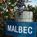 La Argentina arrasó en Londres, en el concurso en el que compitieron Malbec de todo el mundo