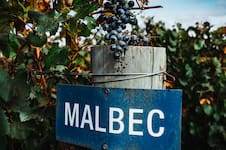 La Argentina arrasó en Londres, en el concurso en el que compitieron Malbec de todo el mundo