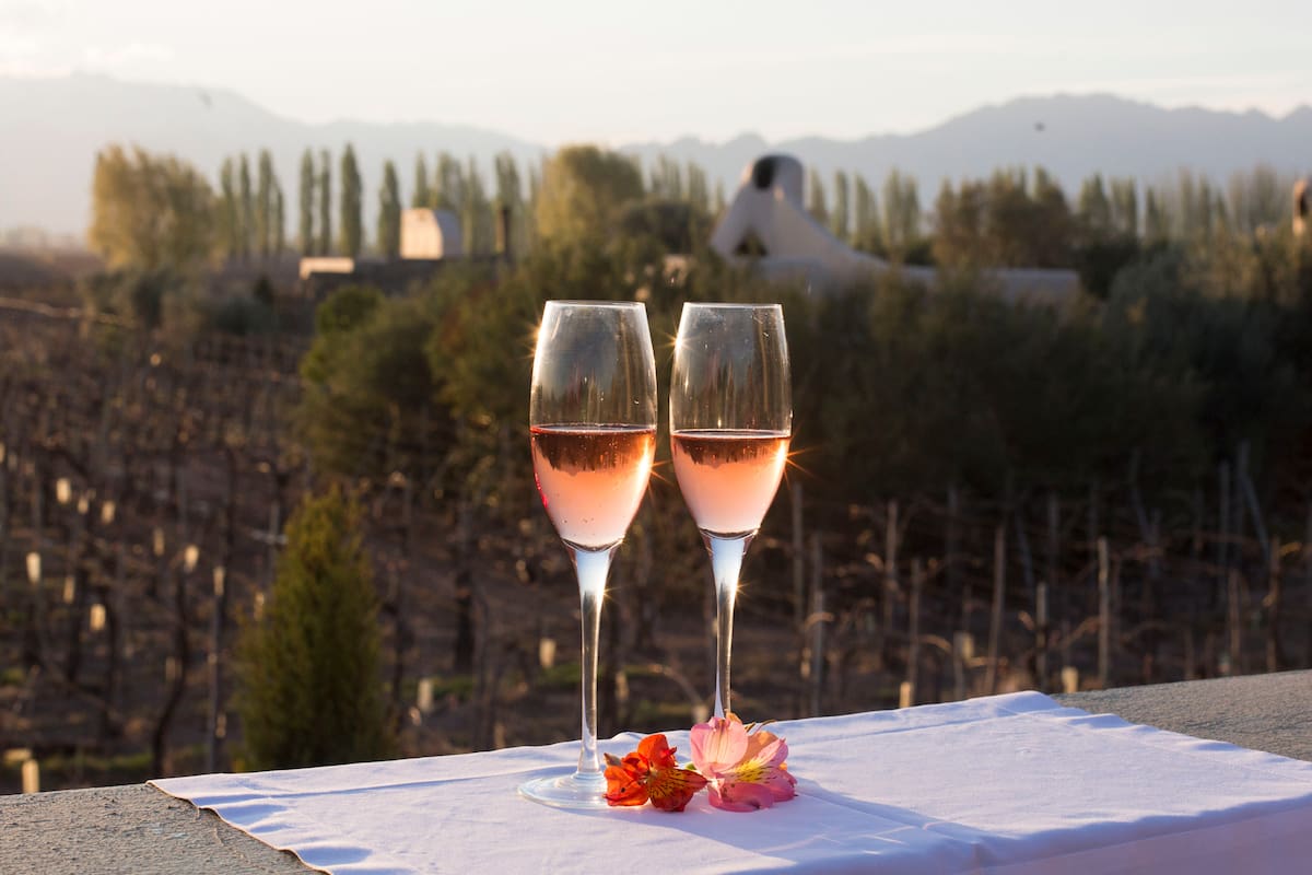 Un viñedo en la provincia de Mendoza.