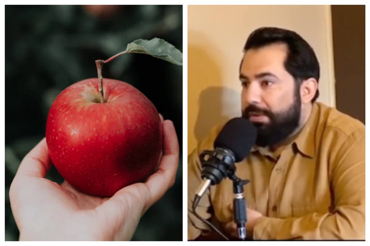 Un visitante a EE.UU. narró como casi pierde su visa por una manzana que olvidó en su vehículo
