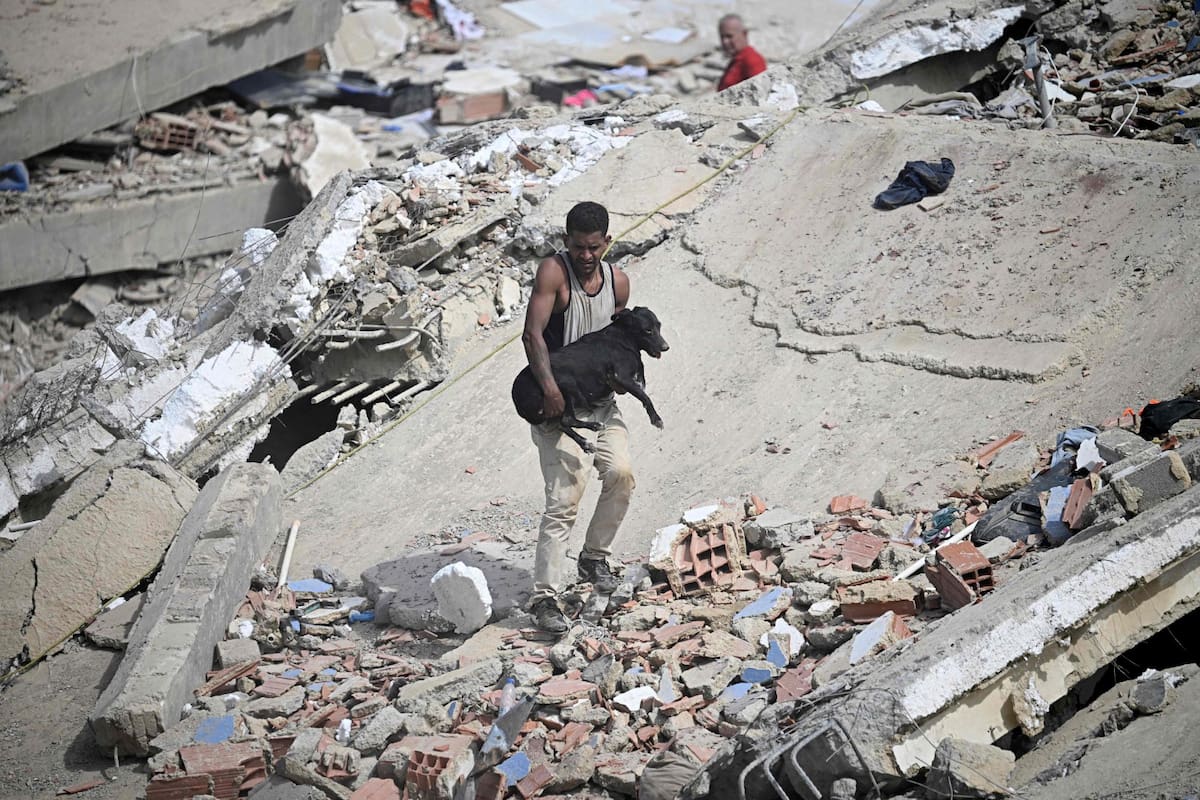 Un voluntario lleva a un perro rescatado entre los escombros de un edificio derrumbado tras los terremotos gemelos en Caraballeda, estado de La Guaira