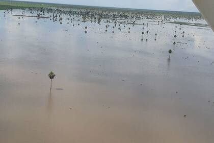 Un vuelo registró ayer los campos inundados en el norte de Santa Fe
