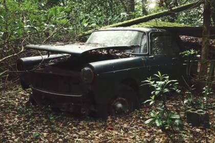 Un youtuber recorrió la campiña francesa y encontró varios modelos de autos clásicos abandonados