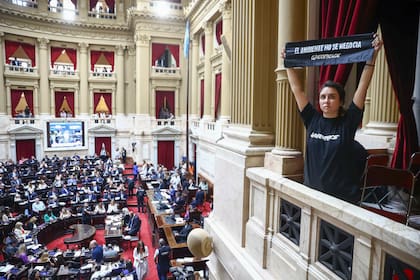 Una activista durante la sesión de la ley ómnibus, que incluía cambios a las leyes de Glaciares, Quemas, Manejo del Fuego y Bosques