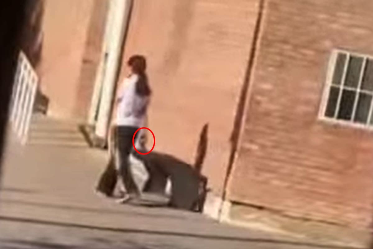 Una adolescente de 14 años fue con un arma a la escuela, realizó varios disparos y amenazó a una profesora