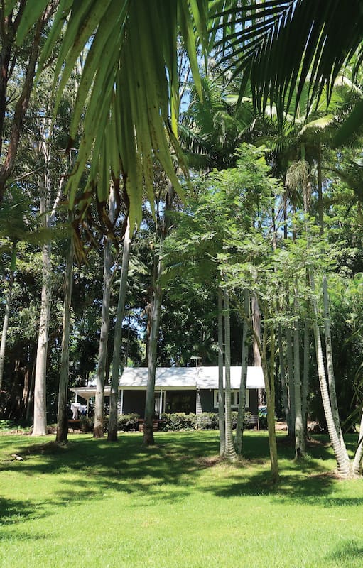 A esta cabaña en Byron Bay rodeada de árboles inmensos se puede acceder exclusivamente por Airbnb, que la ofrece como un hospedaje de ensueño.