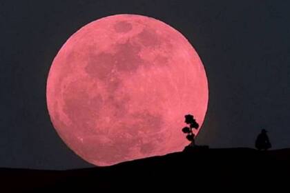 A qué hora se puede ver la super Luna rosa de abril desde la Argentina