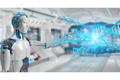 Una anotación misteriosa y varias conclusiones preocupantes