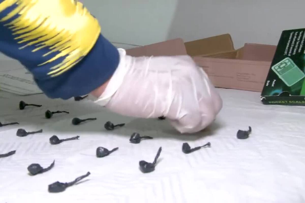 Una argentina, dos peruanas y una dominicana detenidas por vender dosis de drogas en Constitución