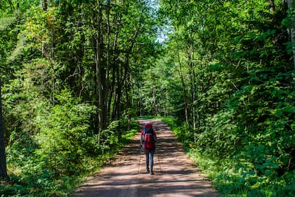 Una argentina en Finlandia. Finlandia es el país con mayor porcentaje de superficie cubierta por bosques en Europa, alcanzando cerca del 75 % de su territorio.