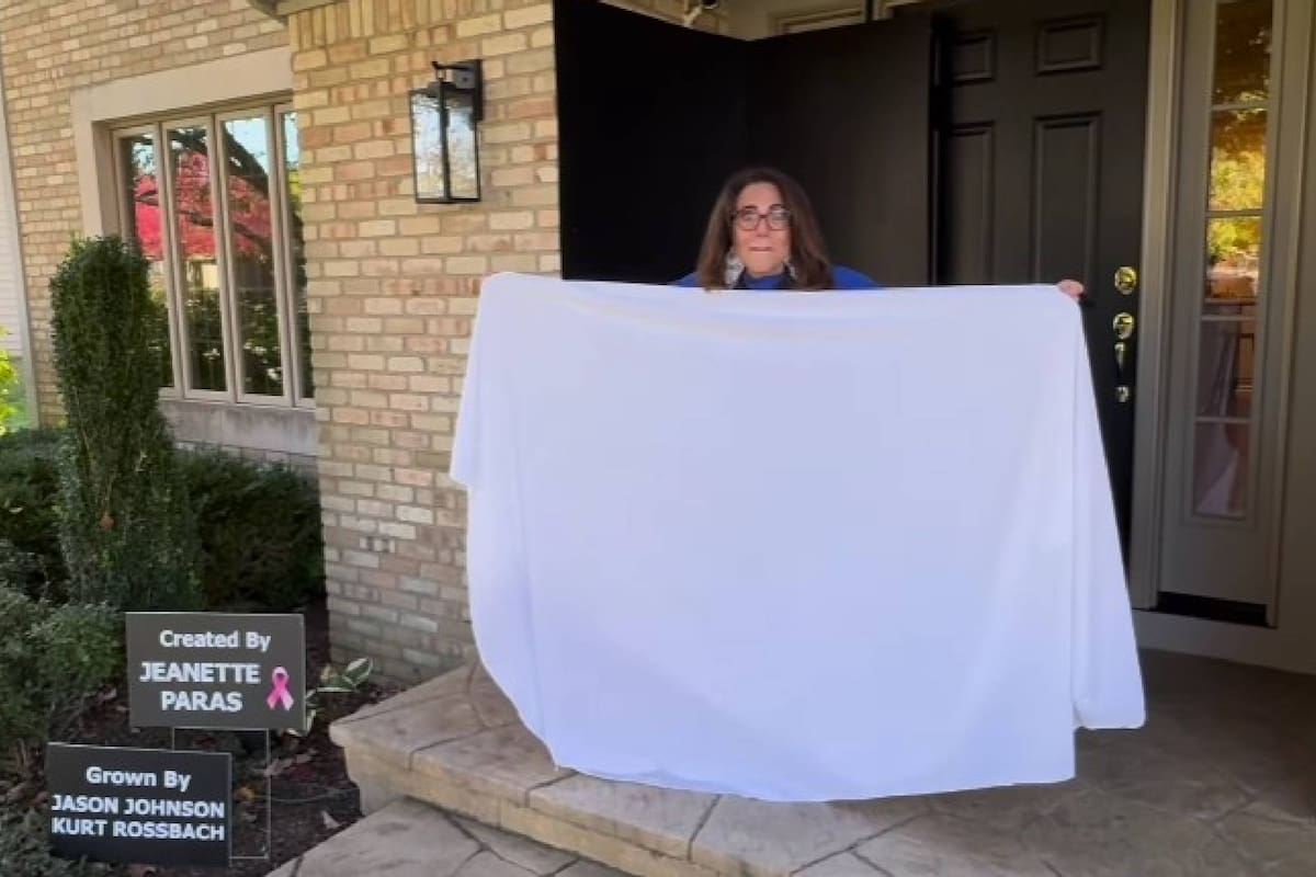 Una artista pintó en una calabaza la cara de una de las celebridades más populares del momento