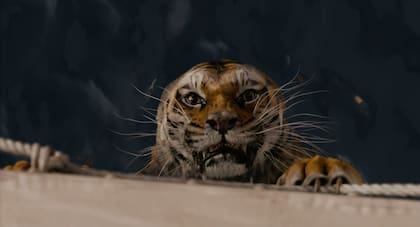 Que las imágenes del tigre fueron reales fue una gran preocupación para la producción de este film