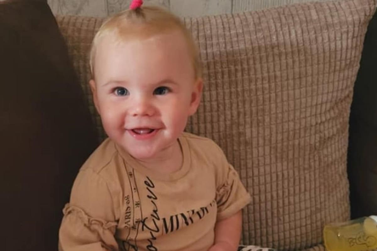 Una beba de 17 meses fue atacada por la nueva mascota de su familia y murió