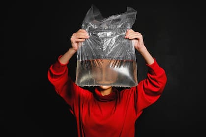 Una bolsa con agua: el popular truco casero para ahuyentar a las moscas que no está verificado por la ciencia (Foto Pexels)