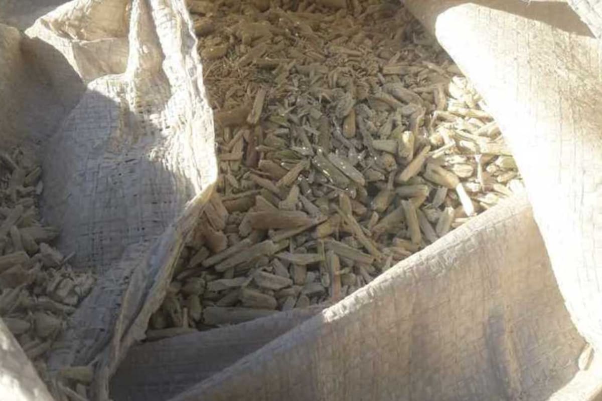 Una bolsa con palo de descarte de la yerba mate, sale de la misma planta, pero no es apta para el consumo, según el Código Alimentario Argentino