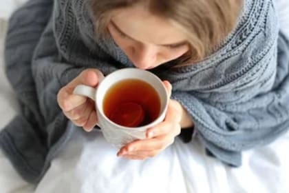 Una buena alimentación refuerza las defensas para el invierno