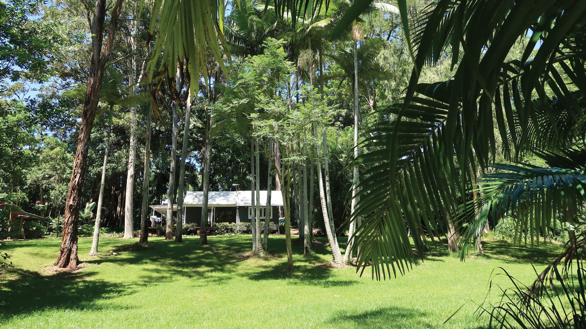 A esta cabaña en Byron Bay rodeada de árboles inmensos se puede acceder exclusivamente por Airbnb, que la ofrece como un hospedaje de ensueño.