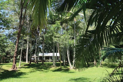 A esta cabaña en Byron Bay rodeada de árboles inmensos se puede acceder exclusivamente por Airbnb, que la ofrece como un hospedaje de ensueño.