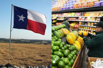 Una cadena de supermercados expandirá su presencia en Texas con nuevos locales