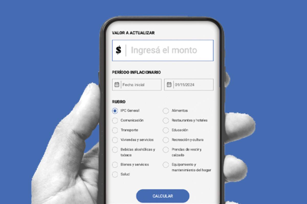 Una calculadora online de inflación permite calcular el avance de este indicador en distintos rubros a lo largo de los años
