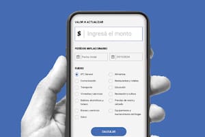 Una calculadora online de inflación permite calcular el avance de este indicador en distintos rubros a lo largo de los años