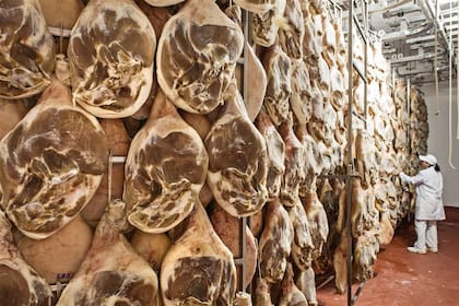Una cámara de maduración de jamones crudos