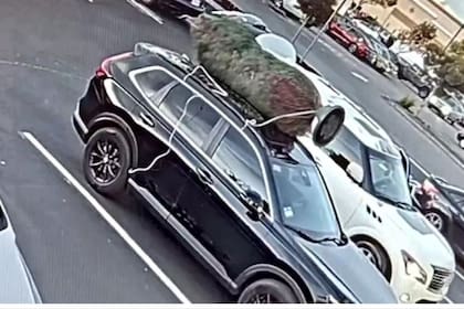 Una cámara de seguridad registró el instante en que una persona se roba un árbol de Navidad que estaba sobre un camioneta, en San Mateo, California