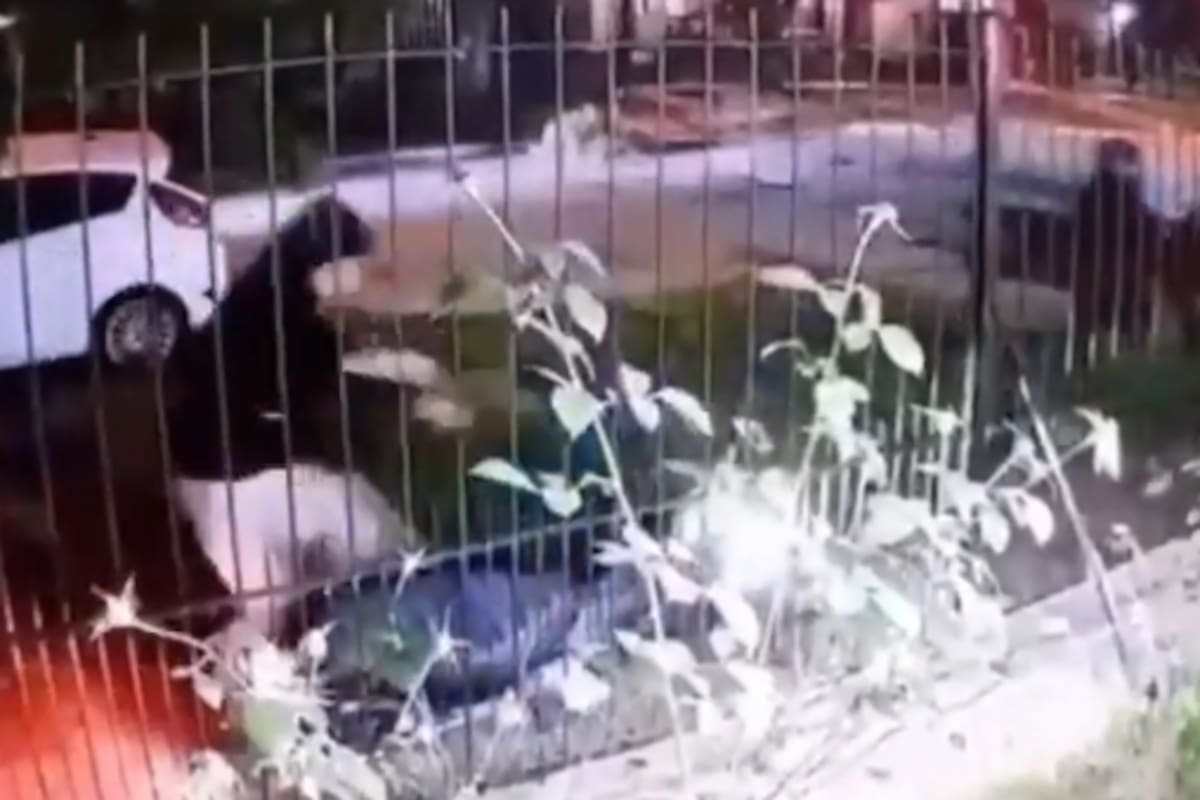 Una cámara privada captó toda la secuencia