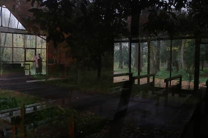 Una capilla en medio de un entorno selvático. "Con el transcurrir del tiempo el paisaje se volvía más hostil, las construcciones se deterioraban y no se reparaban. Iban pasando los años y cada vez estaba peor.", recuerda Tamara.