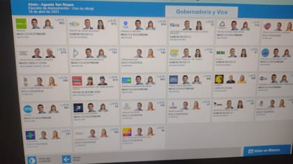 Una captura de pantalla de cómo se ven los candidatos de Neuquén