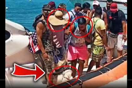 Una captura del video en el que se ve al caniche entre los migrantes; las imágenes generaron un revuelo en Italia