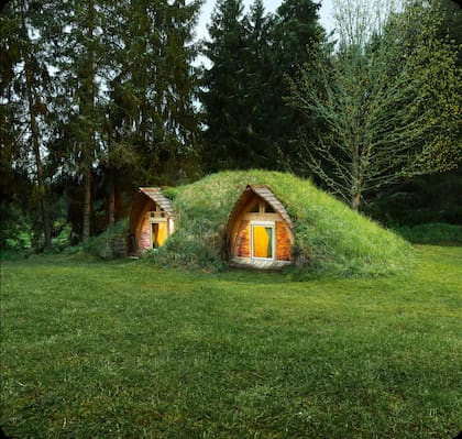 Una casa camuflada en el pasto