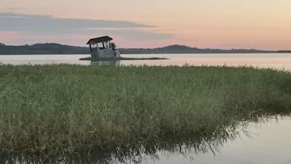 Una casa hundiéndose en Fordlandia, en el amazonas brasileño