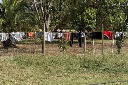 Una causa judicial investiga denuncias por presunto trabajo forzado en un centro de protección para niños en situación de vulnerabilidad