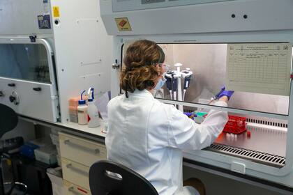 Una científica trabaja en las instalaciones de laboratorio del Grupo de Vacunas de Oxford en el Hospital Churchill en Oxford, al oeste de Londres, el 24 de junio de 2020