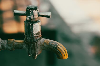 Una ciudad de Florida deberá indemnizar a la inspectora que denunció la contaminación del agua potable con más de 800 mil dólares