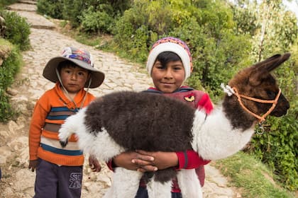 Una clásica postal de la isla, niños con llama.