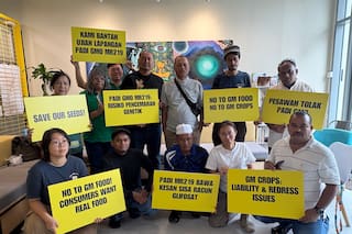 Agricultores y ecologistas de Malasia piden rechazar prueba de arroz transgénico