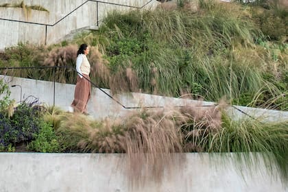 Una combinación de diferentes gramíneas acompañan la escalera en este jardín en barranca