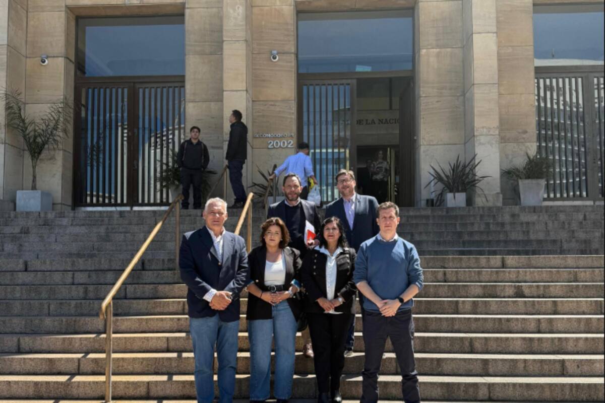 Una comitiva de la Comisión investigadora del caso $LIBRA