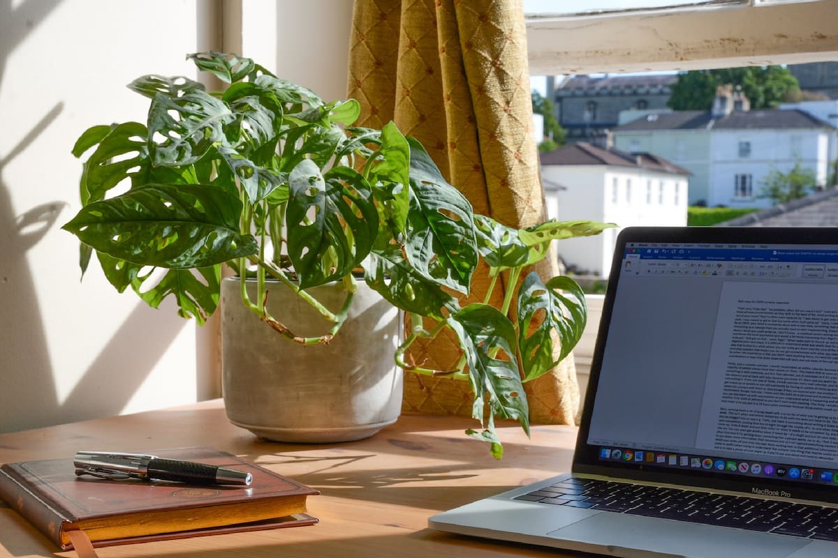 Una compañía en Miami ofrece trabajo a nómadas digitales bilingües para convertirlos en "ejecutivos virtuales"