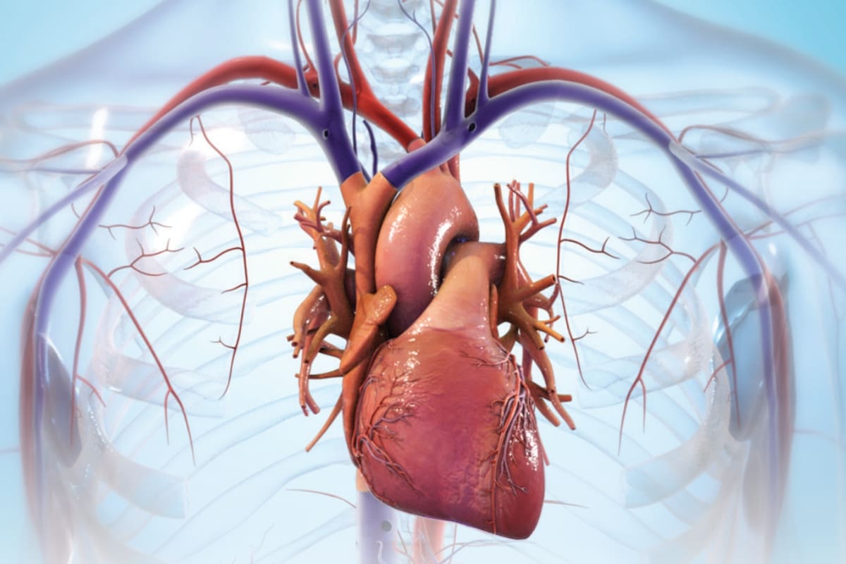 Una compañía promete tener la técnica para usar impresoras 3D para crear corazones de reemplazo, hechos con tejido del paciente; cuáles son los desafíos que enfrenta