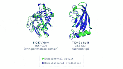 Una comparación entre la estructura de una proteína obtenida a partir de pruebas de laboratorio (verde) y estimada usando inteligencia artificial (azul)