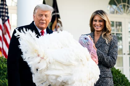 Una congresista propone un feriado federal por el cumpleaños de Donald Trump