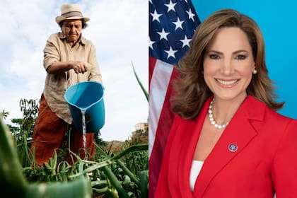 Una congresista republicana defendió la labor de los trabajadores hispanos en Estados Unidos