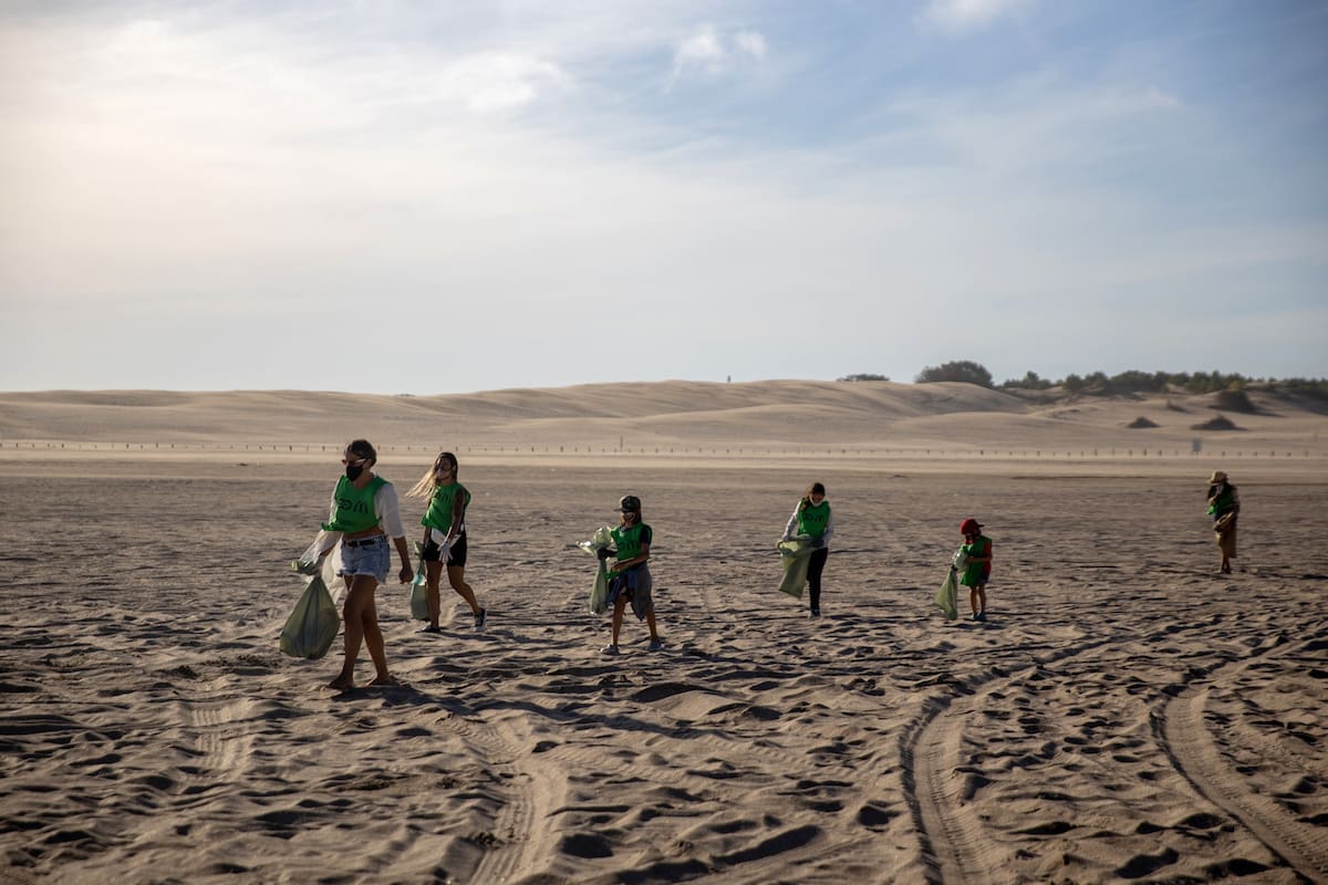 Una cooperativa de amigos convirtió el reciclado y el cuidado del medio ambiente en una fuente de trabajo sustentable; además, en temporada, realizan tareas de concientización y recolección de residuos en las playas de Pinamar y Mar del Plata
