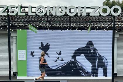 Una corredora pasa frente a una reproducción de un mural de Banksy afuera del Zoológico de Londres