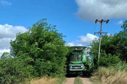 Una cosechadora no pudo seguir su marcha por la falta de mantenimiento de un camino en la zona