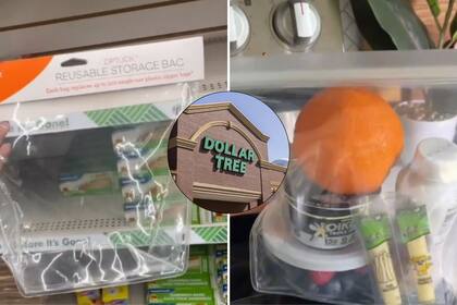 Una creadora de contenidos dedicada a la organización encontró unas bolas reutilizables con cierre hermético en Dollar Tree por US$1,25